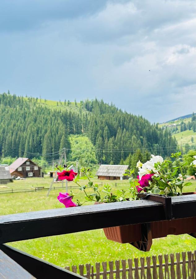 Guest House Lileya Bukovel Dış mekan fotoğraf